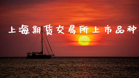 上海期货交易所上市品种_https://m.lcpcjs.com_恒指期货保证金_第1张