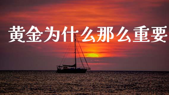 黄金为什么那么重要_https://m.lcpcjs.com_期货交易_第1张
