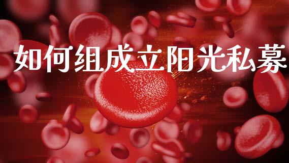 如何组成立阳光私募_https://m.lcpcjs.com_恒指期货保证金_第1张