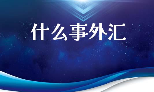什么事外汇_https://m.lcpcjs.com_期货交易_第1张