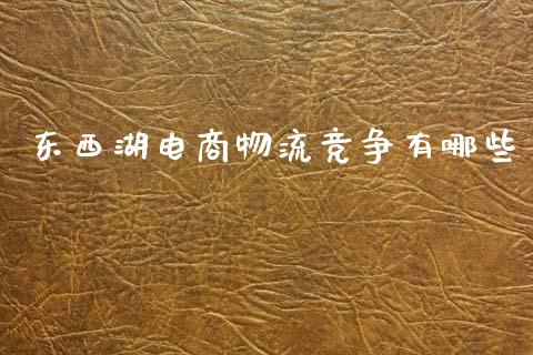 东西湖电商物流竞争有哪些_https://m.lcpcjs.com_期货交易_第1张