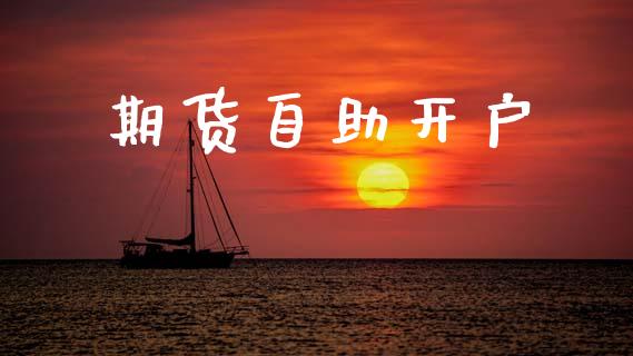 期货自助开户_https://m.lcpcjs.com_期货交易时间_第1张