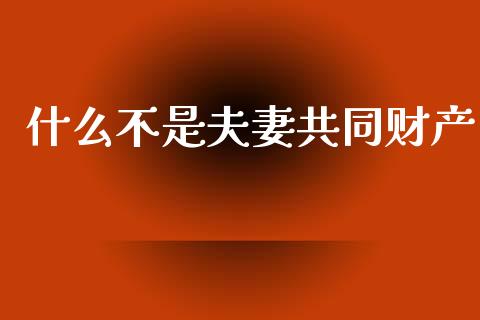 什么不是夫妻共同财产_https://m.lcpcjs.com_白银期货保证金_第1张
