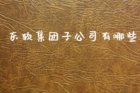 东软集团子公司有哪些_https://m.lcpcjs.com_期货交易_第1张