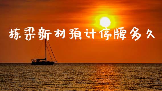 栋梁新材预计停牌多久_https://m.lcpcjs.com_白银期货保证金_第1张
