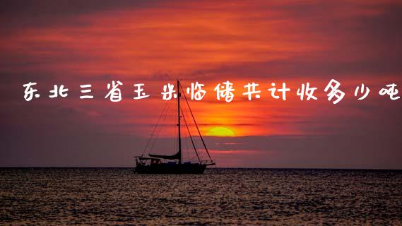 东北三省玉米临储共计收多少吨_https://m.lcpcjs.com_白银期货保证金_第1张