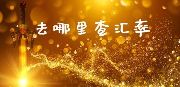 去哪里查汇率_https://m.lcpcjs.com_白银期货保证金_第1张