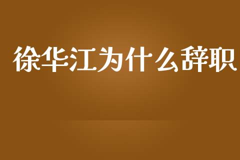 徐华江为什么辞职_https://m.lcpcjs.com_恒指期货保证金_第1张