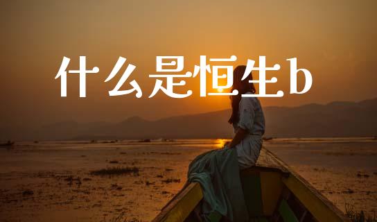 什么是恒生b_https://m.lcpcjs.com_期货交易_第1张