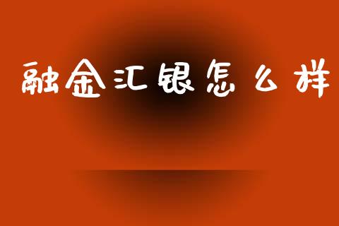 融金汇银怎么样_https://m.lcpcjs.com_白银期货保证金_第1张