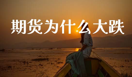 期货为什么大跌_https://m.lcpcjs.com_恒指期货保证金_第1张