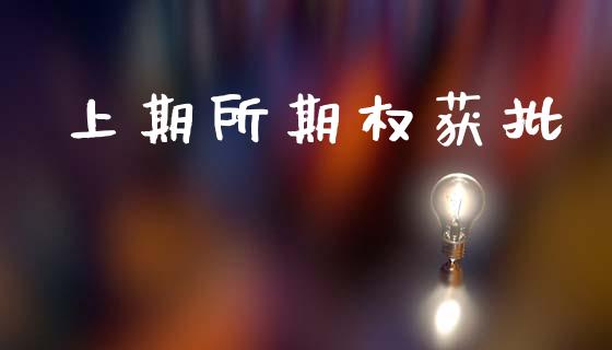 上期所期权获批_https://m.lcpcjs.com_期货交易时间_第1张