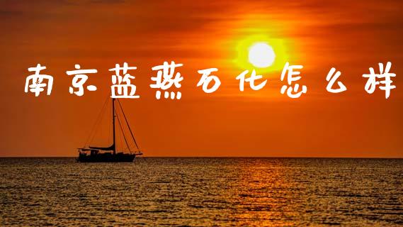 南京蓝燕石化怎么样_https://m.lcpcjs.com_期货交易时间_第1张