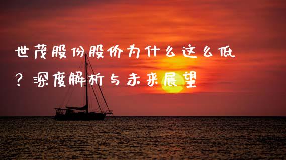 世茂股份股价为什么这么低？深度解析与未来展望_https://m.lcpcjs.com_白银期货保证金_第1张