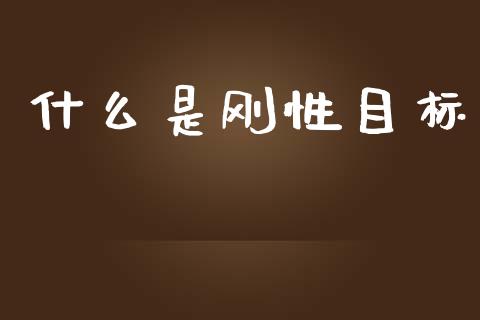 什么是刚性目标_https://m.lcpcjs.com_恒指期货保证金_第1张