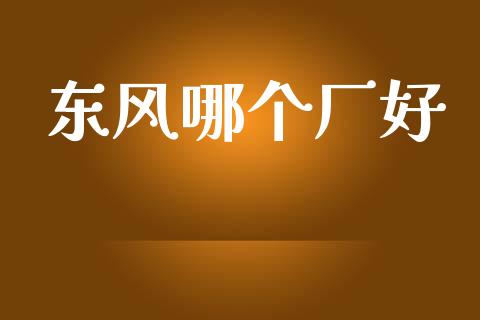 东风哪个厂好_期货交易_第1张_白银期货保证金_期货交易_恒指期货保证金_期货交易时间 东风哪个厂好_https://m.lcpcjs.com_期货交易_第1张