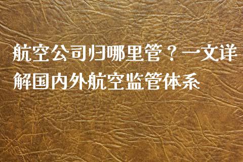 航空公司归哪里管？一文详解国内外航空监管体系_https://m.lcpcjs.com_期货交易时间_第1张
