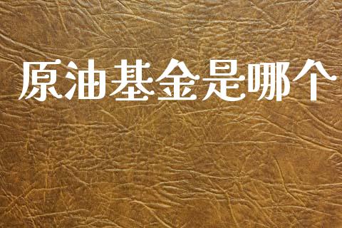 原油基金是哪个_https://m.lcpcjs.com_恒指期货保证金_第1张