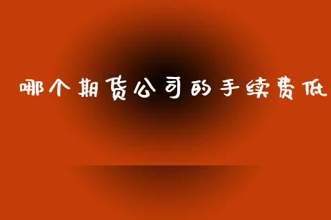 哪个期货公司的手续费低_https://m.lcpcjs.com_期货交易_第1张