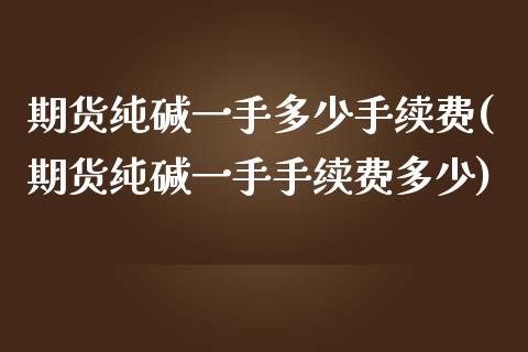 期货纯碱一手多少手续费(期货纯碱一手手续费多少)_https://m.lcpcjs.com_期货交易_第1张