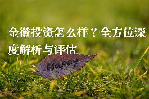 金徽投资怎么样？全方位深度解析与评估_https://m.lcpcjs.com_白银期货保证金_第1张