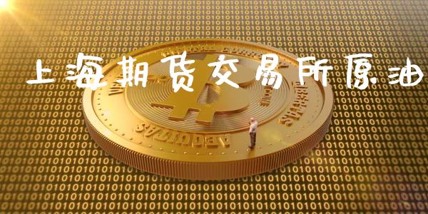 上海期货交易所原油_https://m.lcpcjs.com_期货交易_第1张