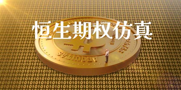 恒生期权仿真_https://m.lcpcjs.com_白银期货保证金_第1张
