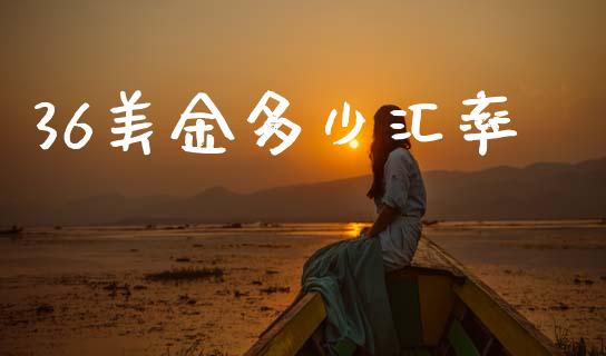 36美金多少汇率_https://m.lcpcjs.com_白银期货保证金_第1张