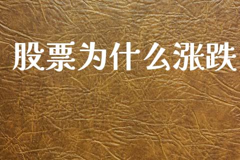 股票为什么涨跌_https://m.lcpcjs.com_白银期货保证金_第1张
