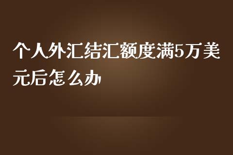 个人外汇结汇额度满5万美元后怎么办_https://m.lcpcjs.com_恒指期货保证金_第1张