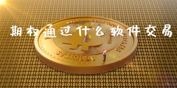 期权通过什么软件交易_https://m.lcpcjs.com_期货交易时间_第1张