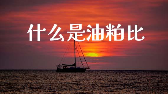 什么是油粕比_https://m.lcpcjs.com_白银期货保证金_第1张