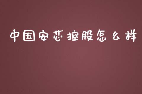 中国安芯控股怎么样_https://m.lcpcjs.com_白银期货保证金_第1张