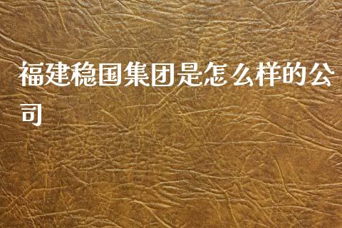 福建稳国集团是怎么样的公司_https://m.lcpcjs.com_白银期货保证金_第1张