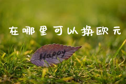 在哪里可以换欧元_https://m.lcpcjs.com_白银期货保证金_第1张