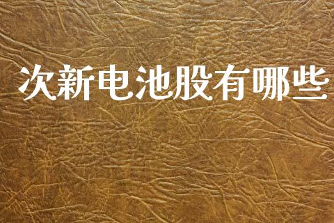 次新电池股有哪些_https://m.lcpcjs.com_恒指期货保证金_第1张
