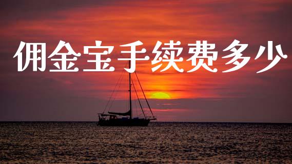 佣金宝手续费多少_https://m.lcpcjs.com_期货交易时间_第1张
