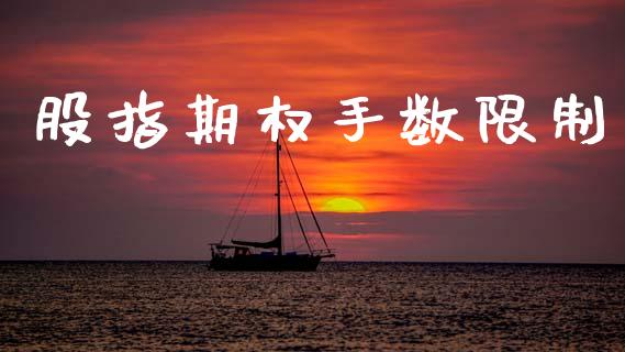 股指期权手数限制_https://m.lcpcjs.com_白银期货保证金_第1张