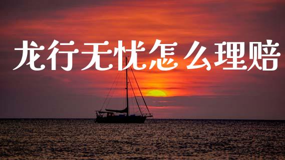 龙行无忧怎么理赔_https://m.lcpcjs.com_期货交易时间_第1张