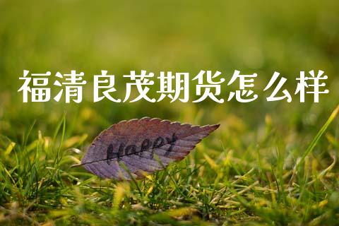 福清良茂期货怎么样_https://m.lcpcjs.com_期货交易时间_第1张