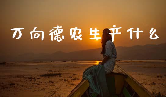 万向德农生产什么_https://m.lcpcjs.com_恒指期货保证金_第1张