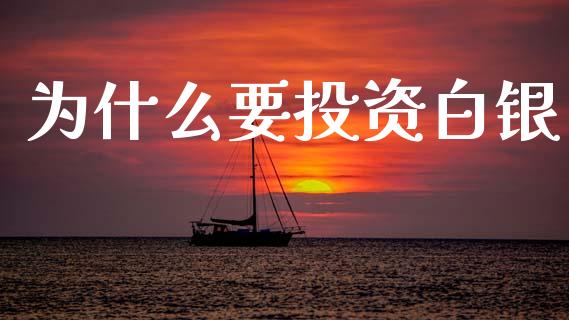 为什么要投资白银_https://m.lcpcjs.com_期货交易时间_第1张