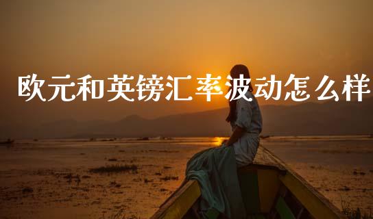 欧元和英镑汇率波动怎么样_https://m.lcpcjs.com_白银期货保证金_第1张