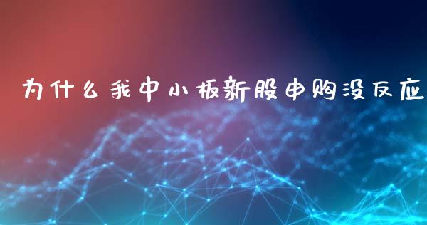 为什么我中小板新股申购没反应_https://m.lcpcjs.com_期货交易时间_第1张