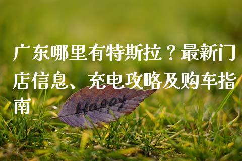 广东哪里有特斯拉？最新门店信息、充电攻略及购车指南_https://m.lcpcjs.com_期货交易时间_第1张