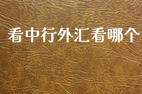 看中行外汇看哪个_https://m.lcpcjs.com_期货交易时间_第1张