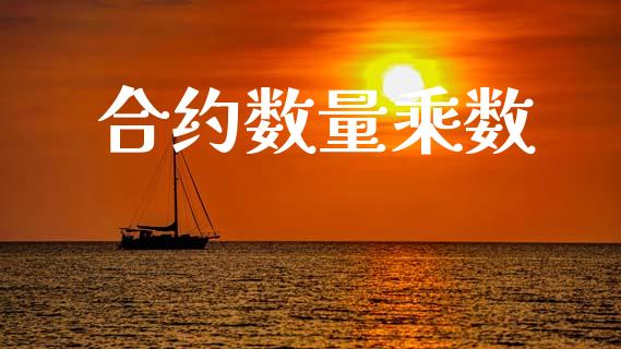 合约数量乘数_https://m.lcpcjs.com_白银期货保证金_第1张