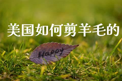 美国如何剪羊毛的_https://m.lcpcjs.com_恒指期货保证金_第1张