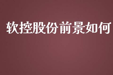软控股份前景如何_https://m.lcpcjs.com_期货交易时间_第1张