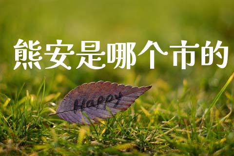熊安是哪个市的_https://m.lcpcjs.com_白银期货保证金_第1张